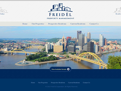 Friedel website