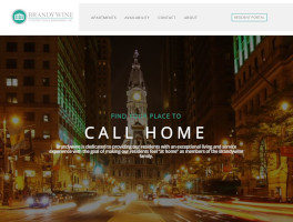 Brandywine Website Example