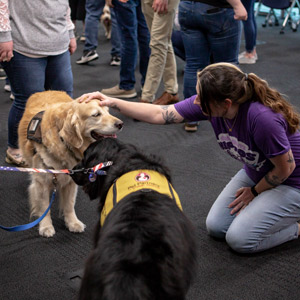 Q2 Social Events - Doggie De-Stress