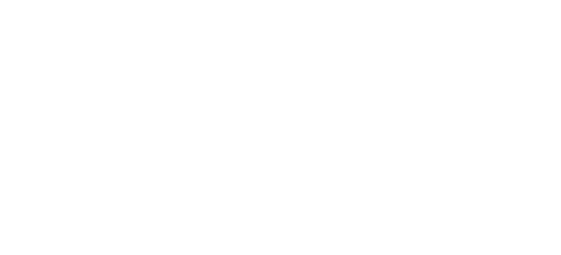 NDT Logo White